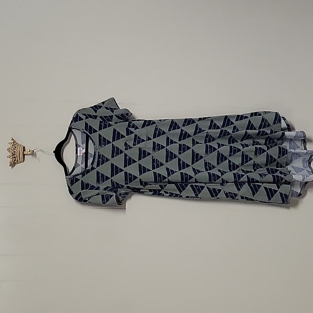 Lularoe Carly swing dress